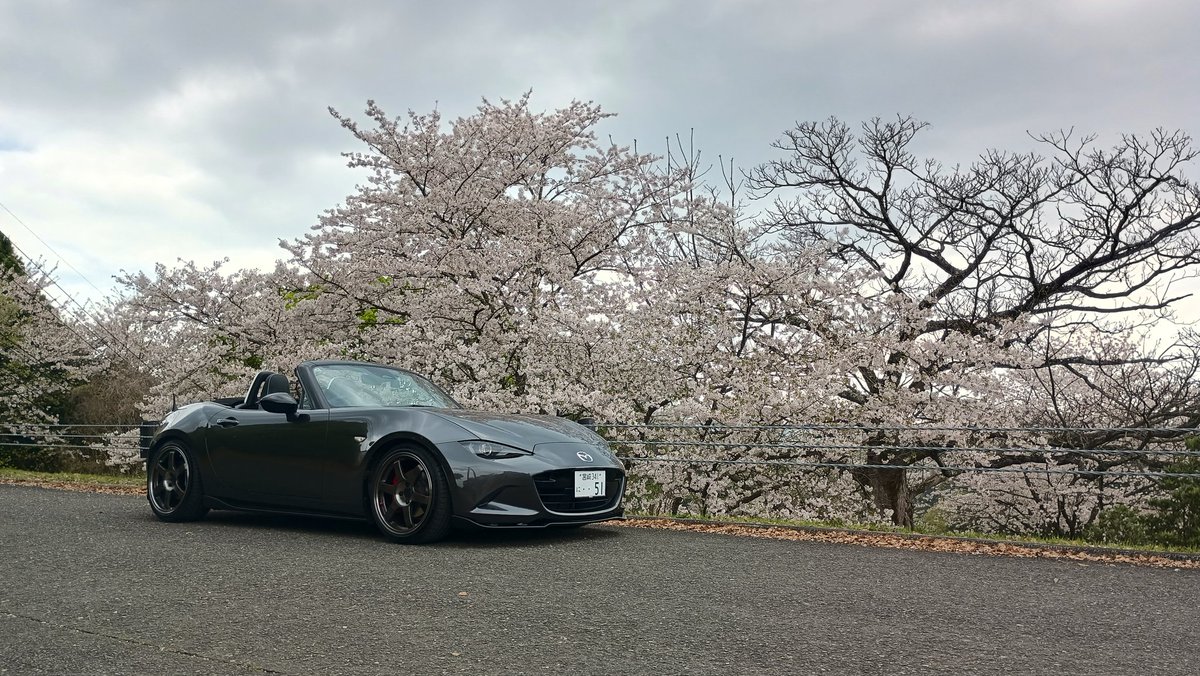 こーいち tweet media