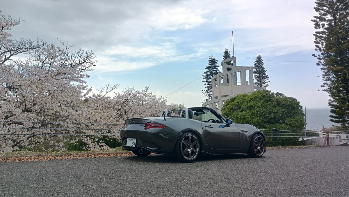 こーいち tweet media