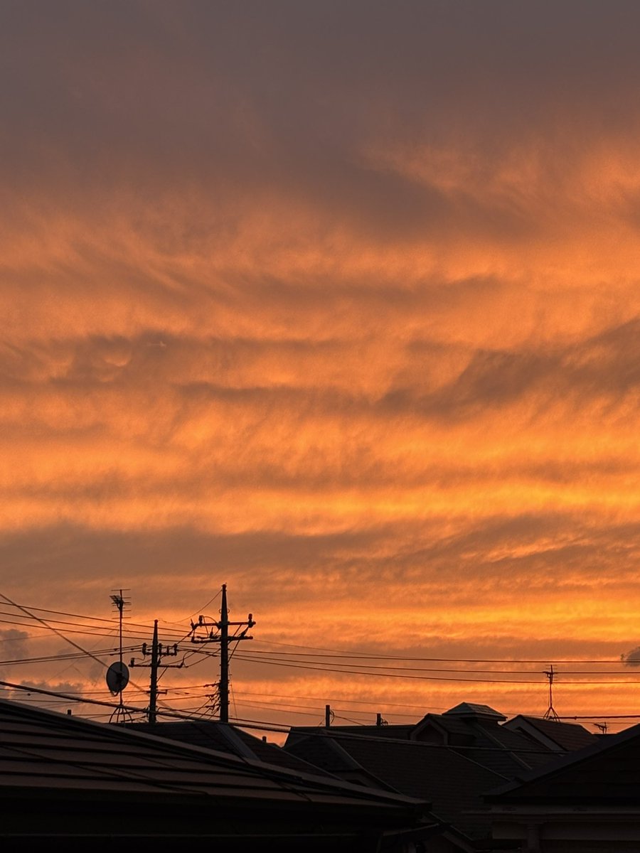 まりも™ tweet media