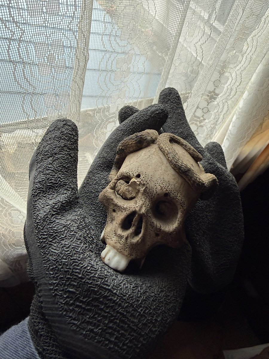 Cindy Murray tweet media