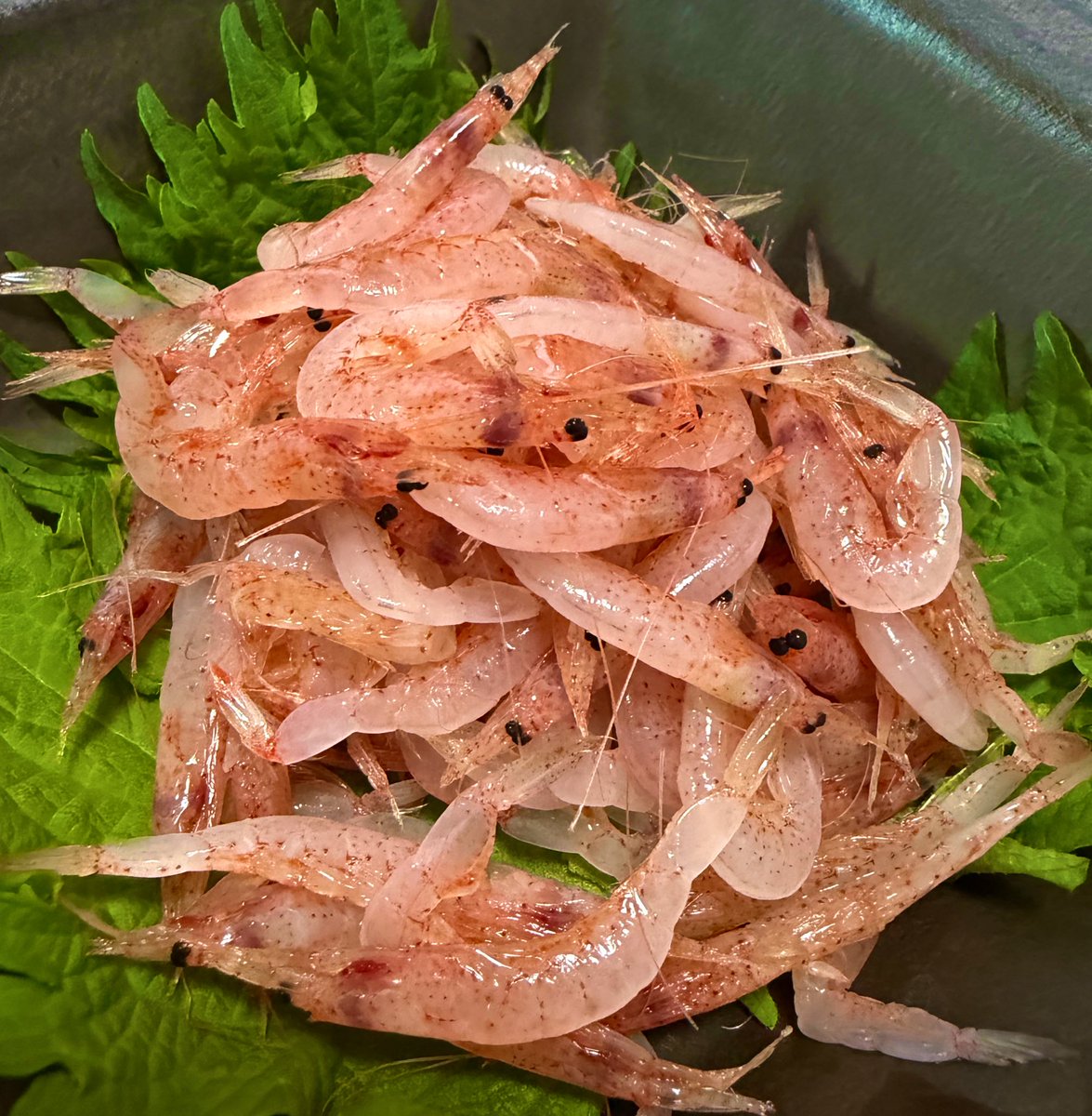 あき/静岡でやってみる tweet media