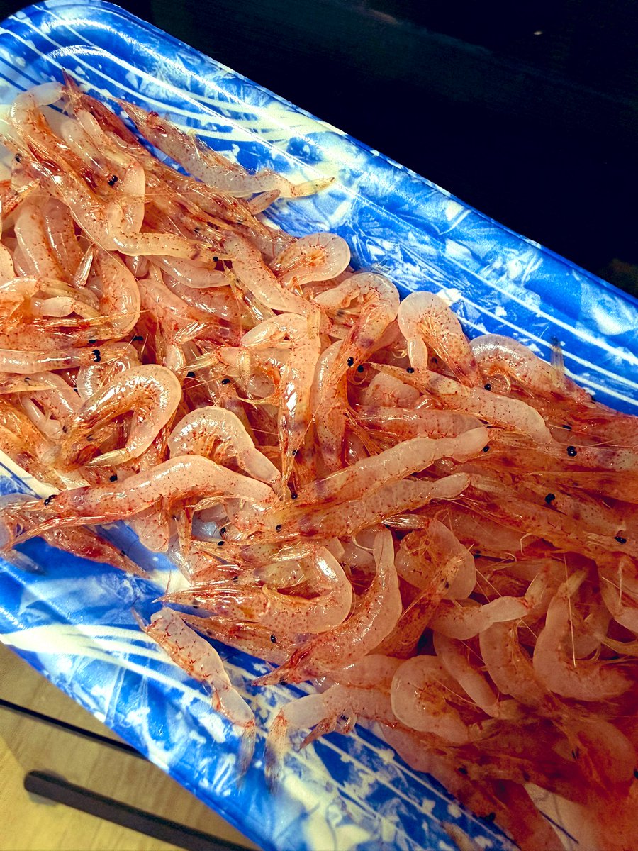 あき/静岡でやってみる tweet media