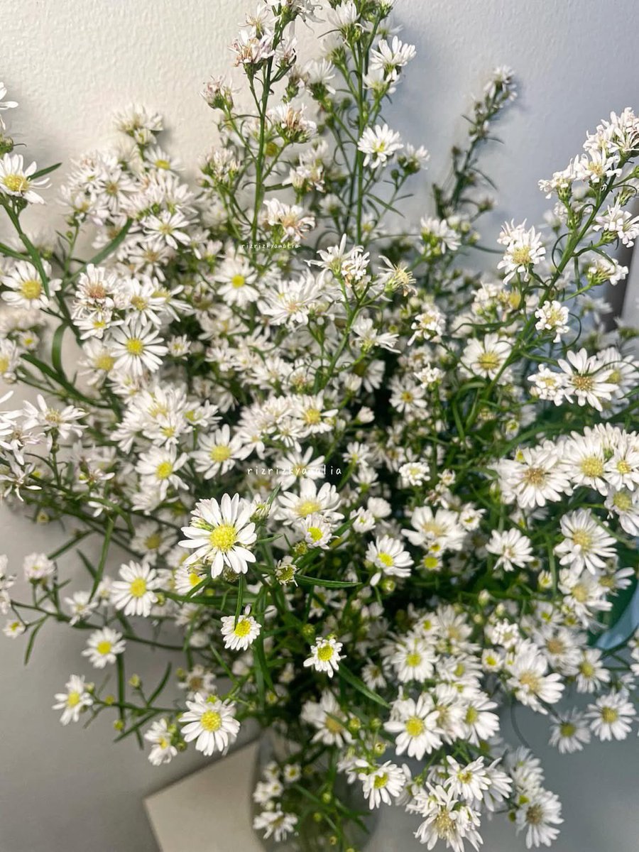 ulil🌱 tweet media