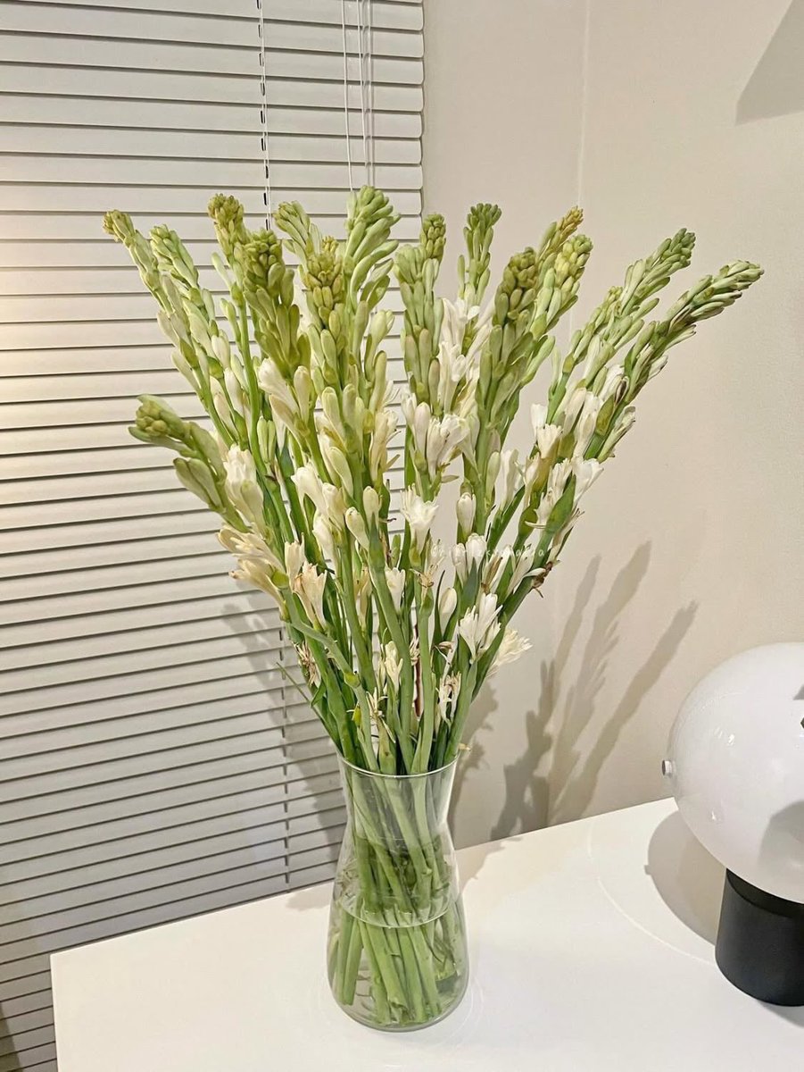 ulil🌱 tweet media