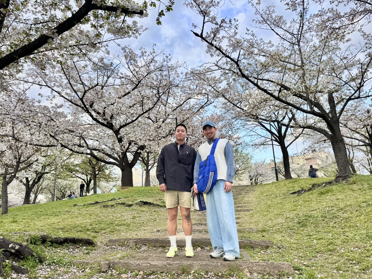 okm_TI's tweet photo. 🌸 https://t.co/PEBu6Z4Fi9