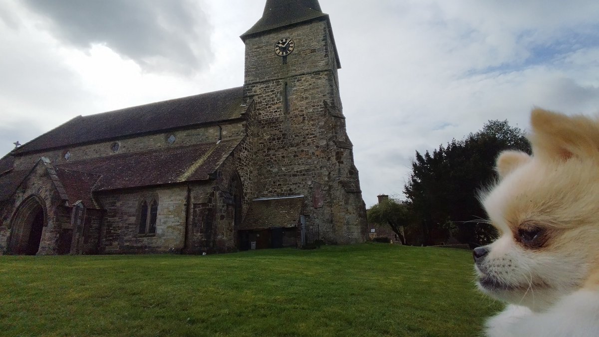 🧄🛠️ One Man and his Dog 👩🏼❤️👨🏻🚀 tweet media