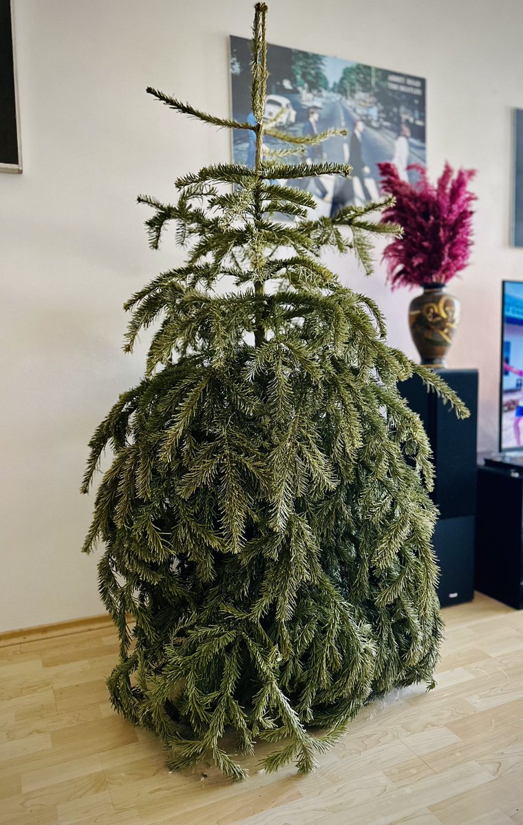 🅰️ndrei tweet media