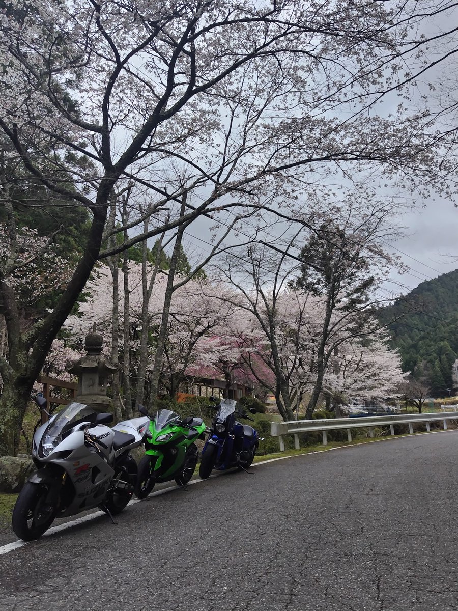 トモッチ tweet media