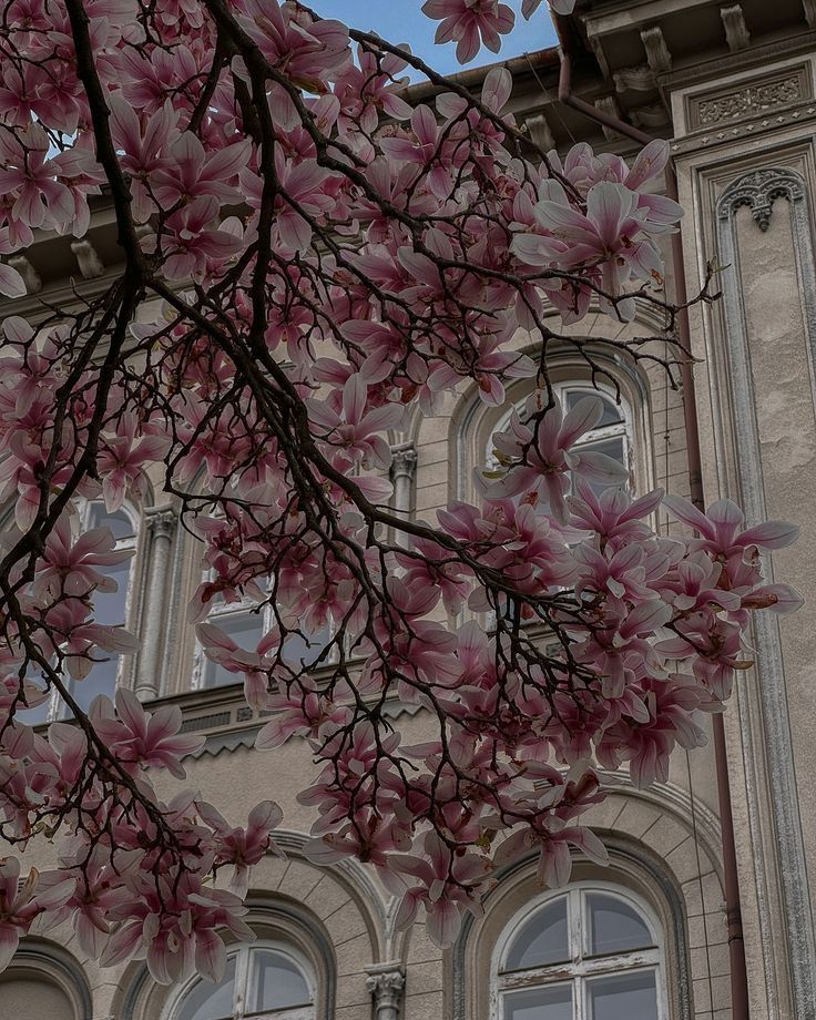 aolerm 🧡 tweet media