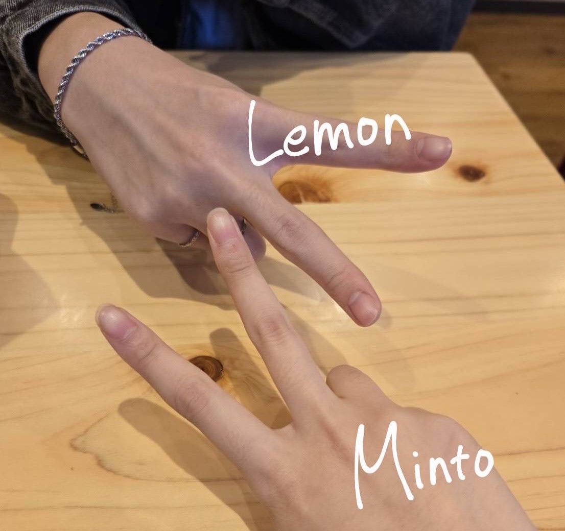 Lemoveilra tweet media