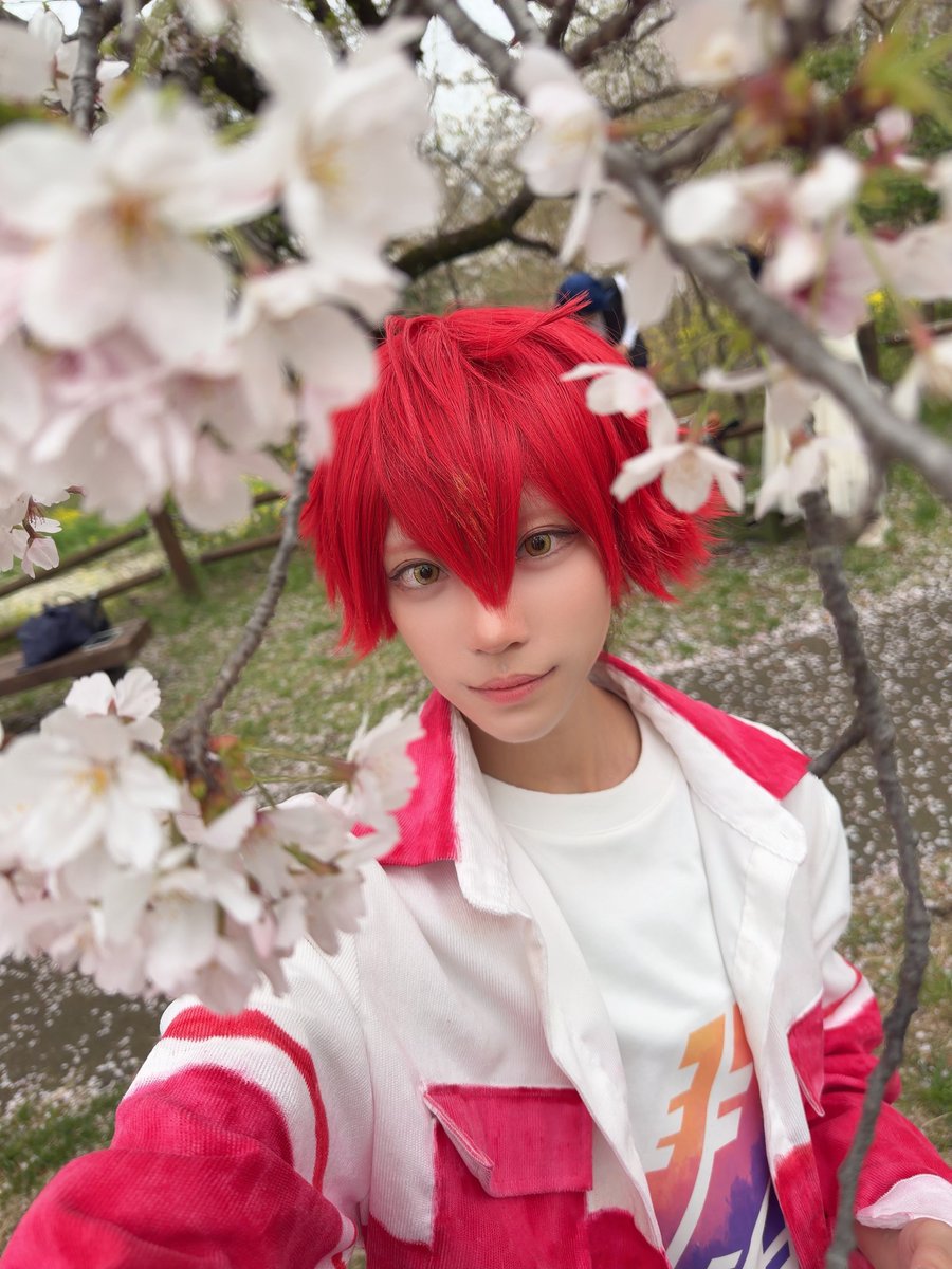 フライパン🍳 tweet media