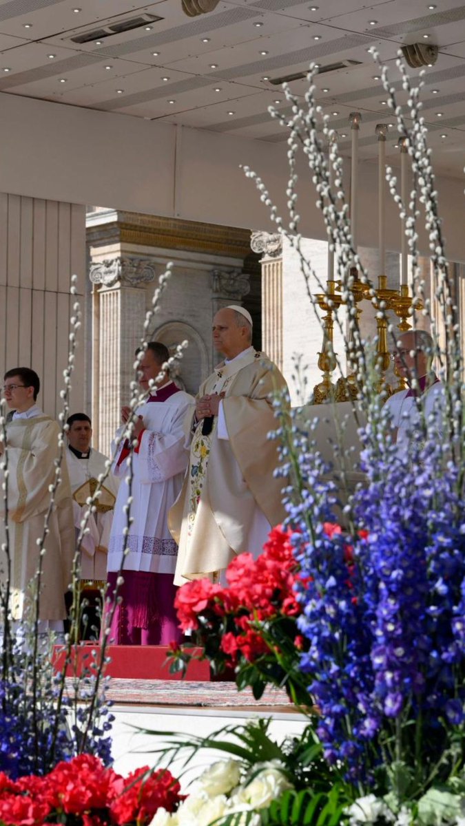 Vatican News tweet media