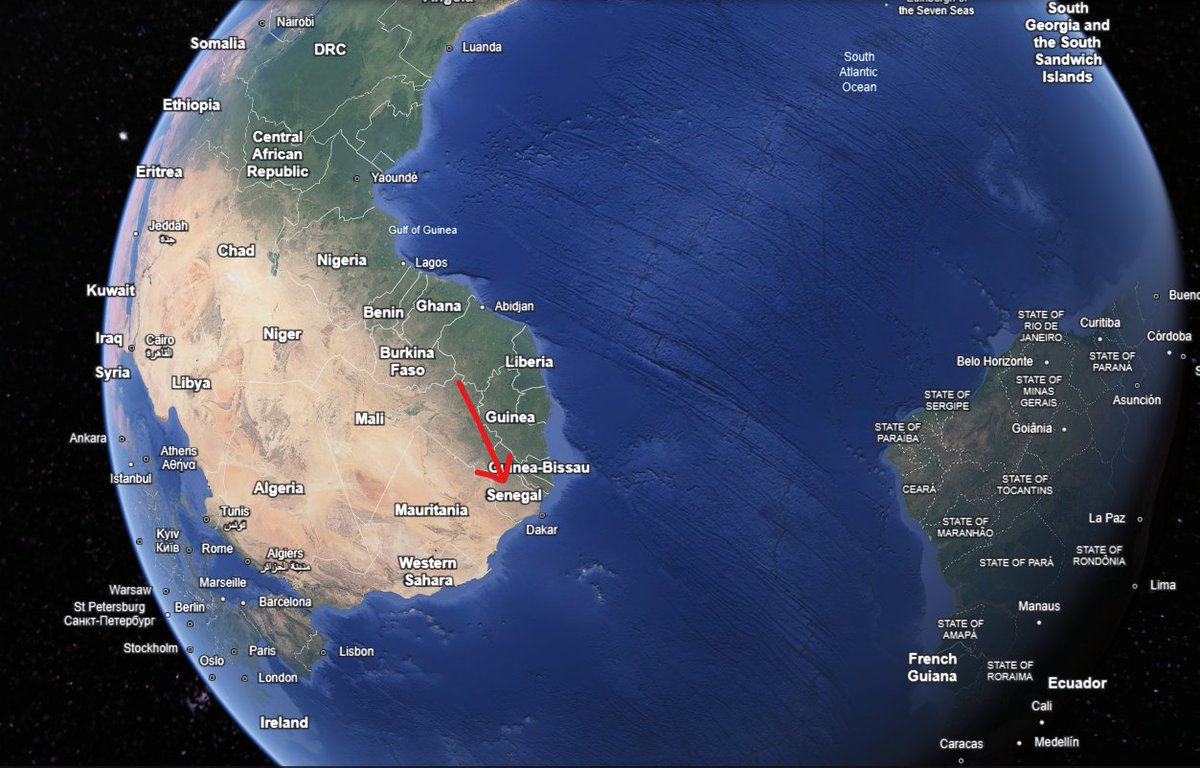 Ashleyyxo tweet media