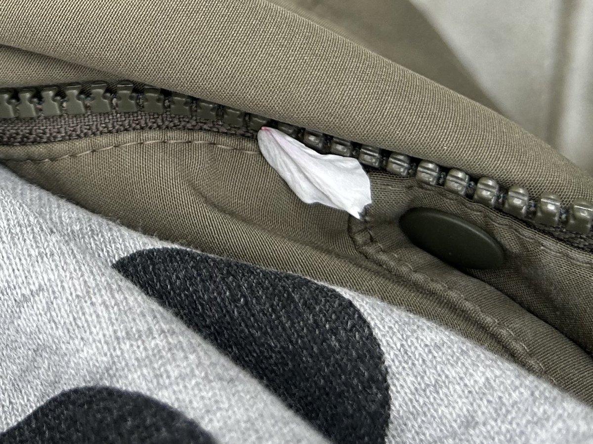 三木一眞 tweet media