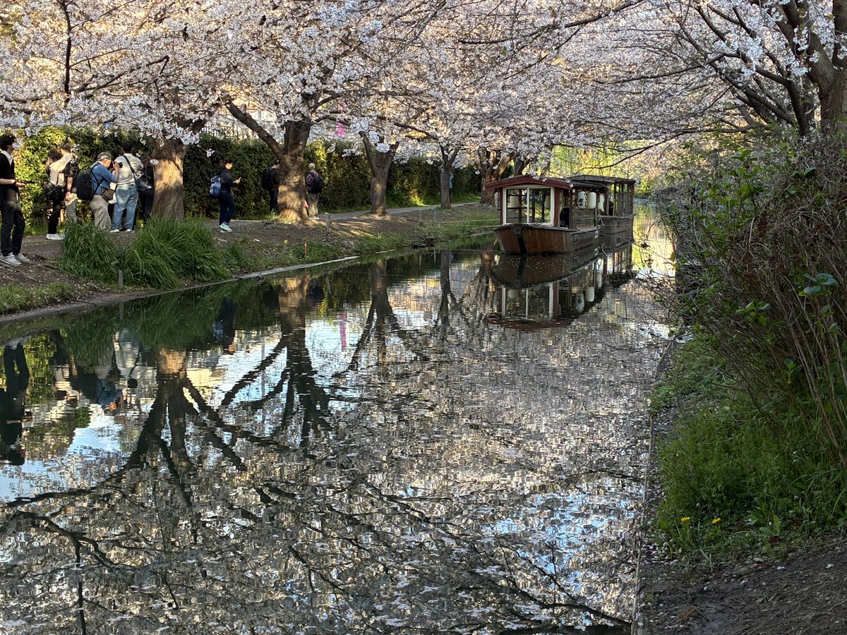 snakecat tweet media