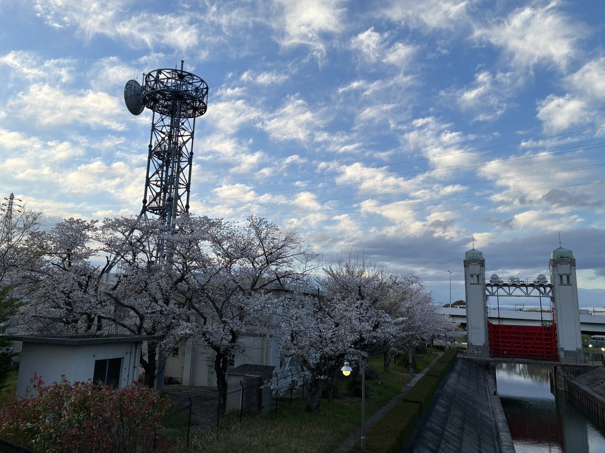 snakecat tweet media