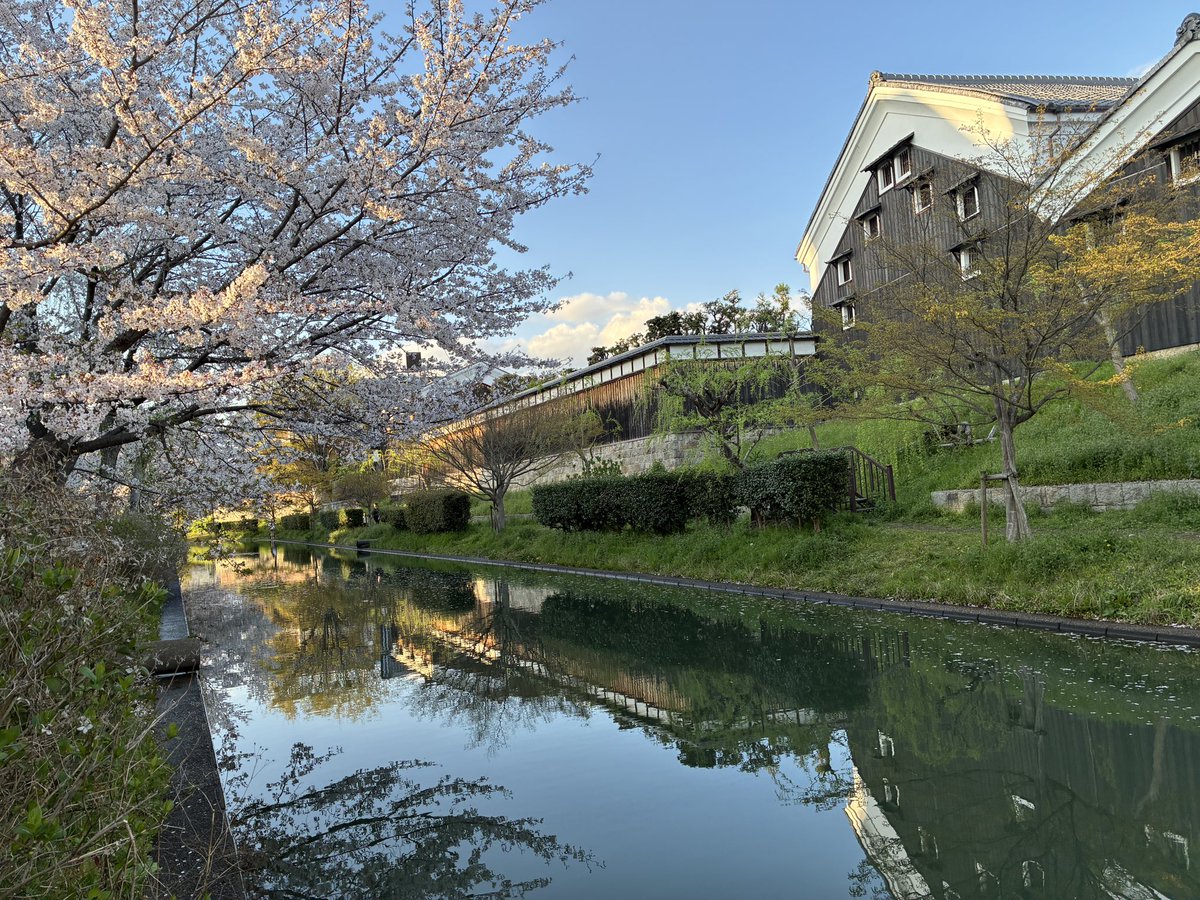 snakecat tweet media