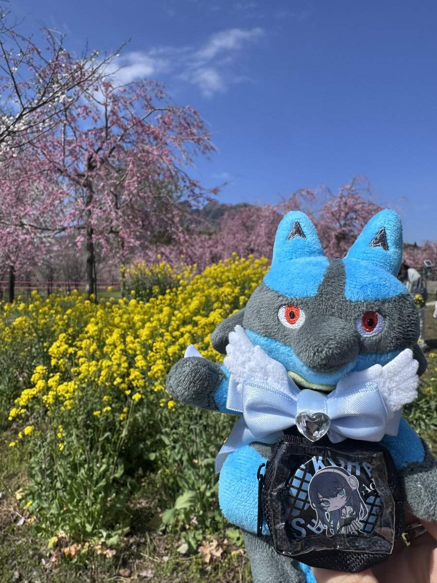 ちゃ💫 tweet media