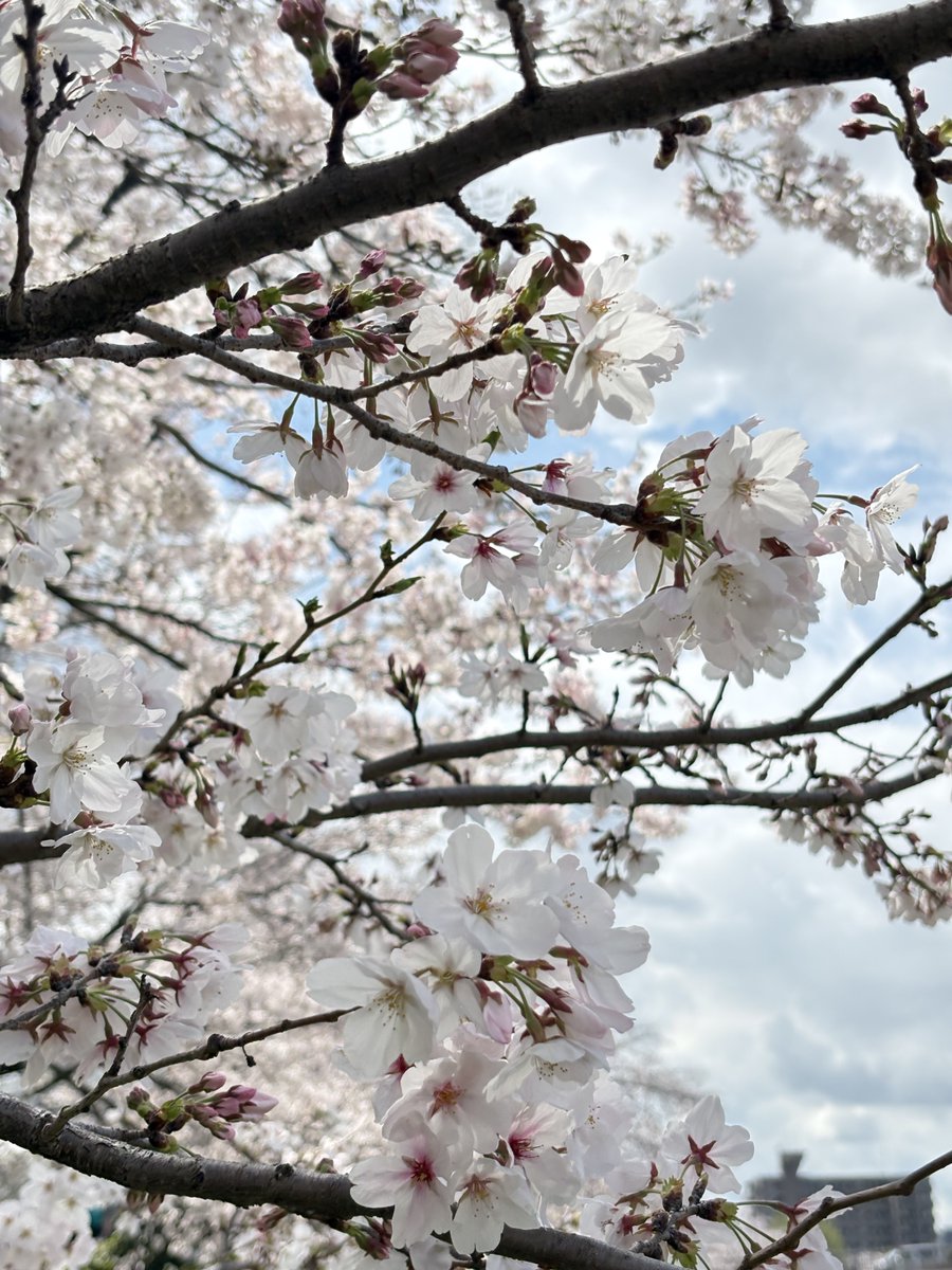 今日はなんか思うように撮れんかった💦