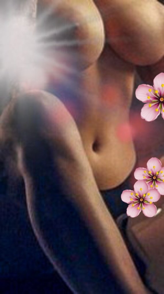 Sunflower tweet media