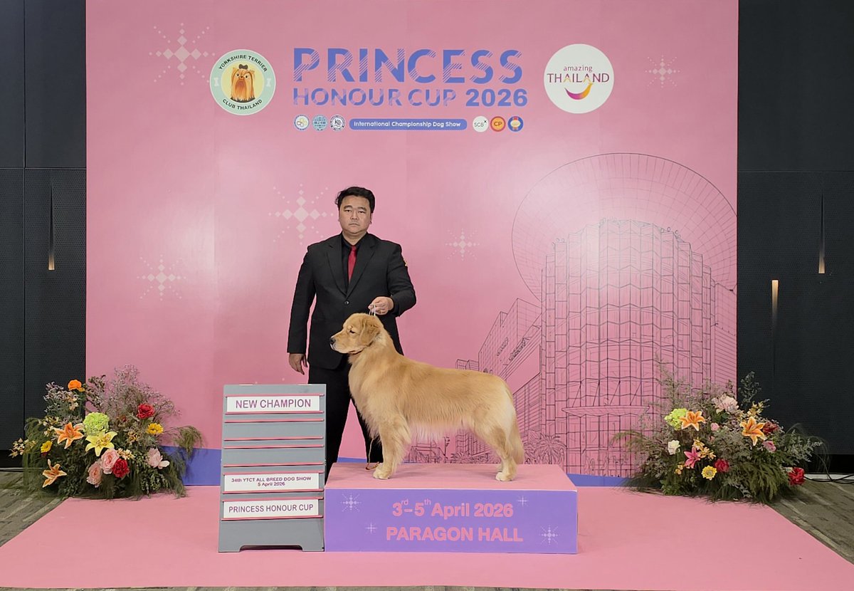 Enjoy_PPw🧡🐻🐼 tweet media