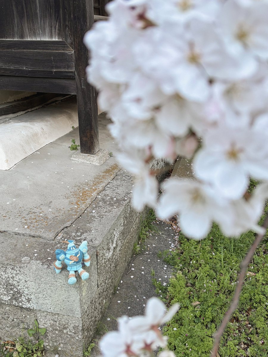 かっこいいゴルーグ tweet media