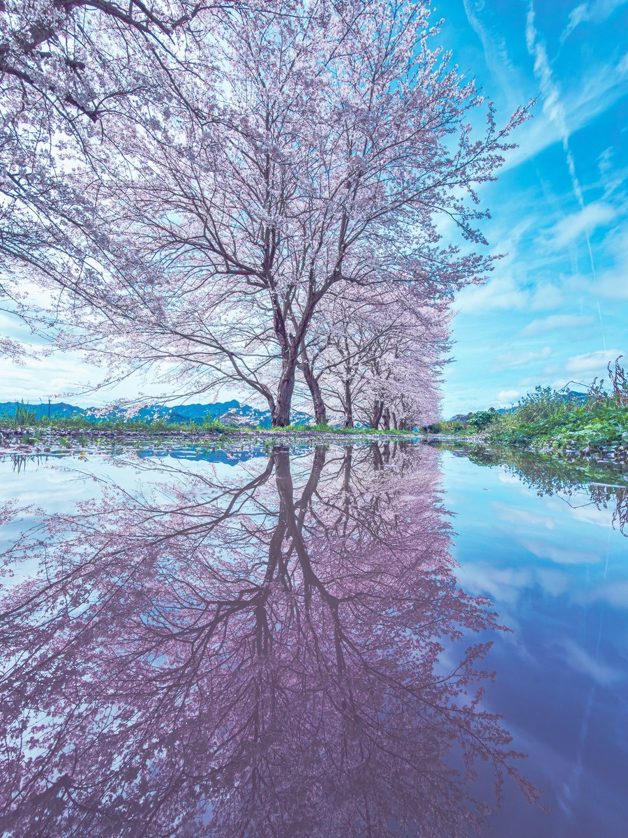 Shota 写真集販売中 tweet media