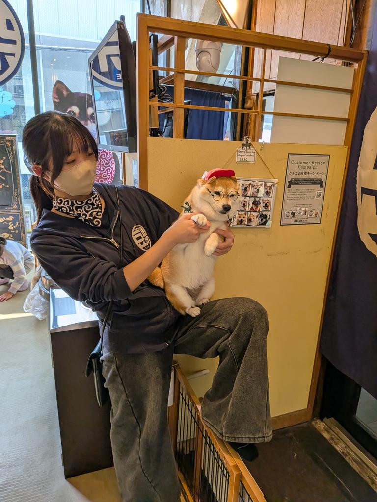 Brb cat on fire tweet media