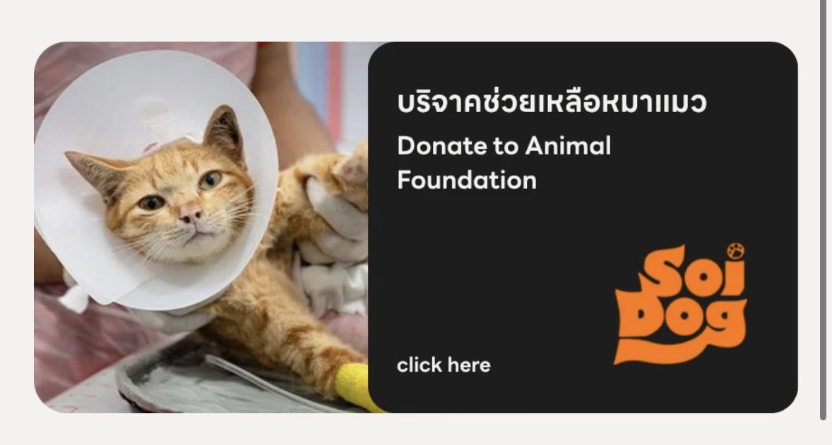 Atom ✦ tweet media