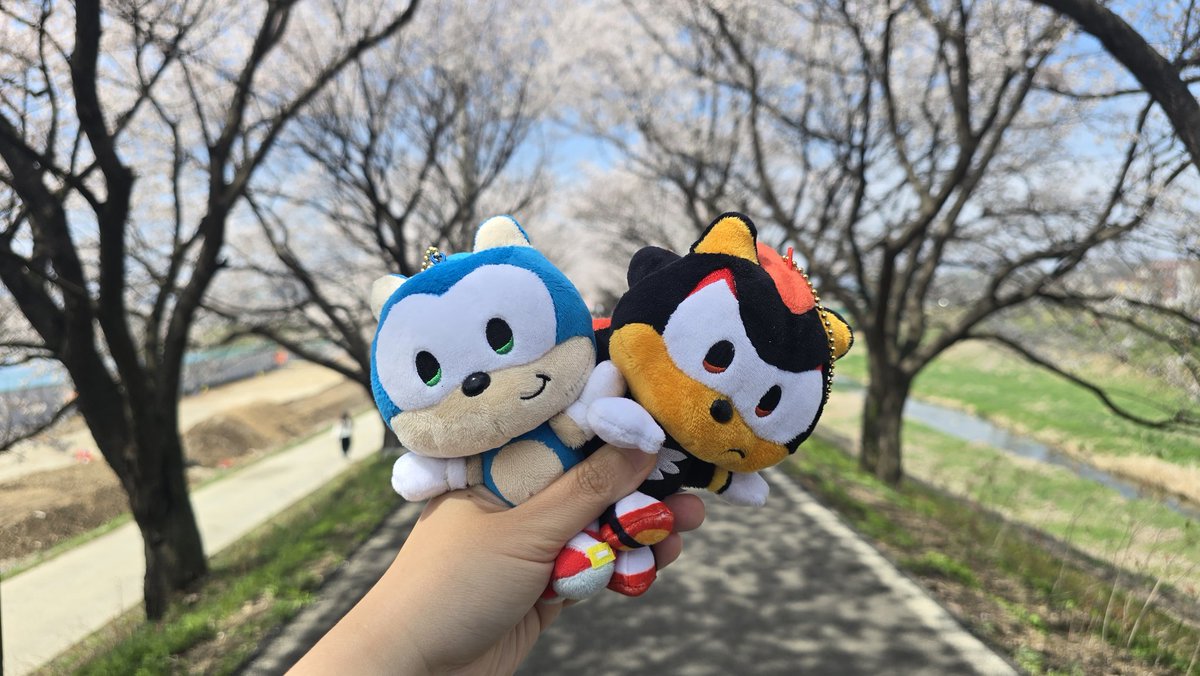 P.O.C (Piece of cake) tweet media