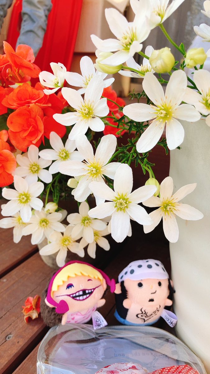 ノリコ tweet media