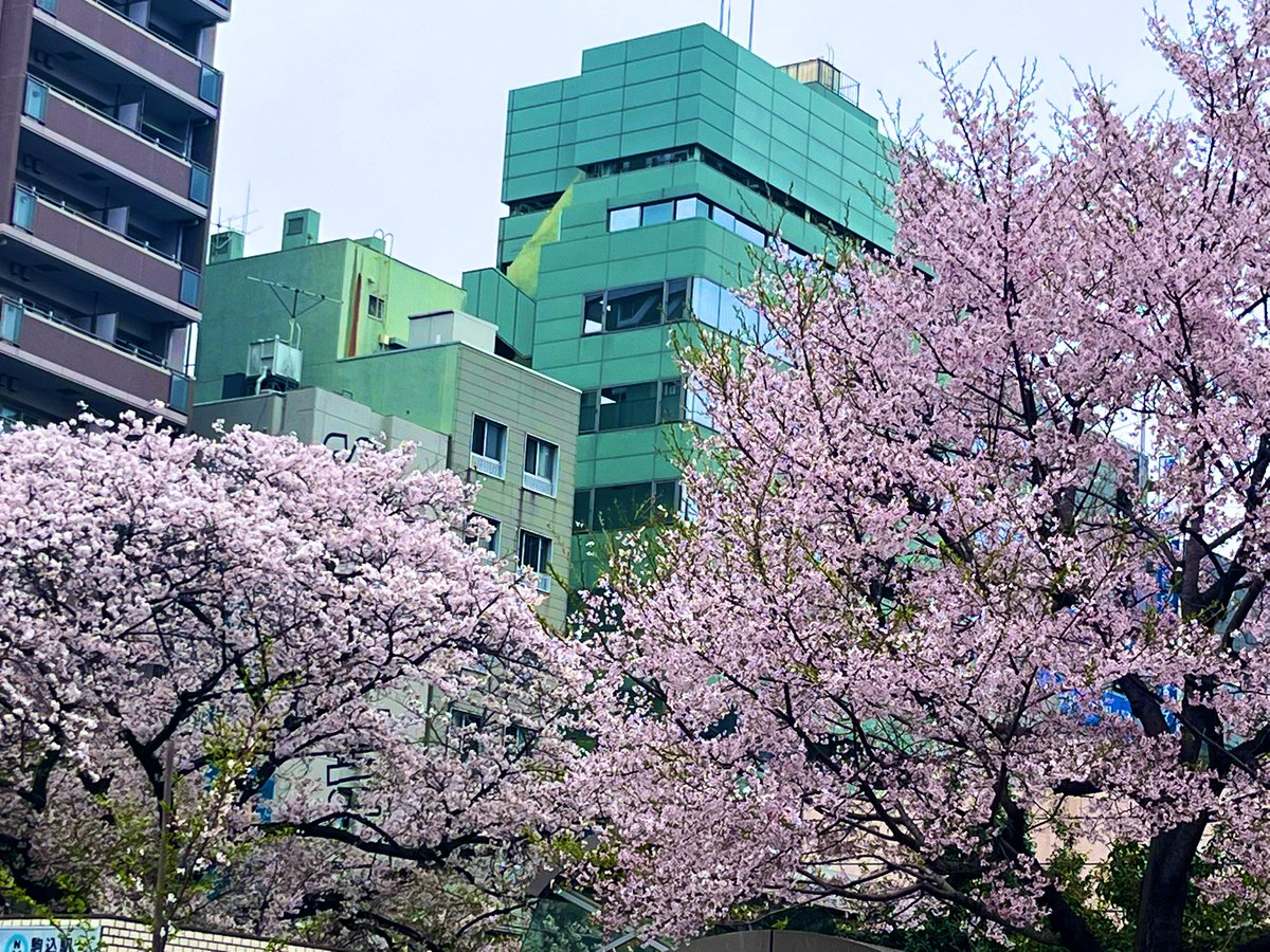 酒🍺酒ち🍷酒🍶ゅ酒🍸酒🍾ん酒🥃 tweet media