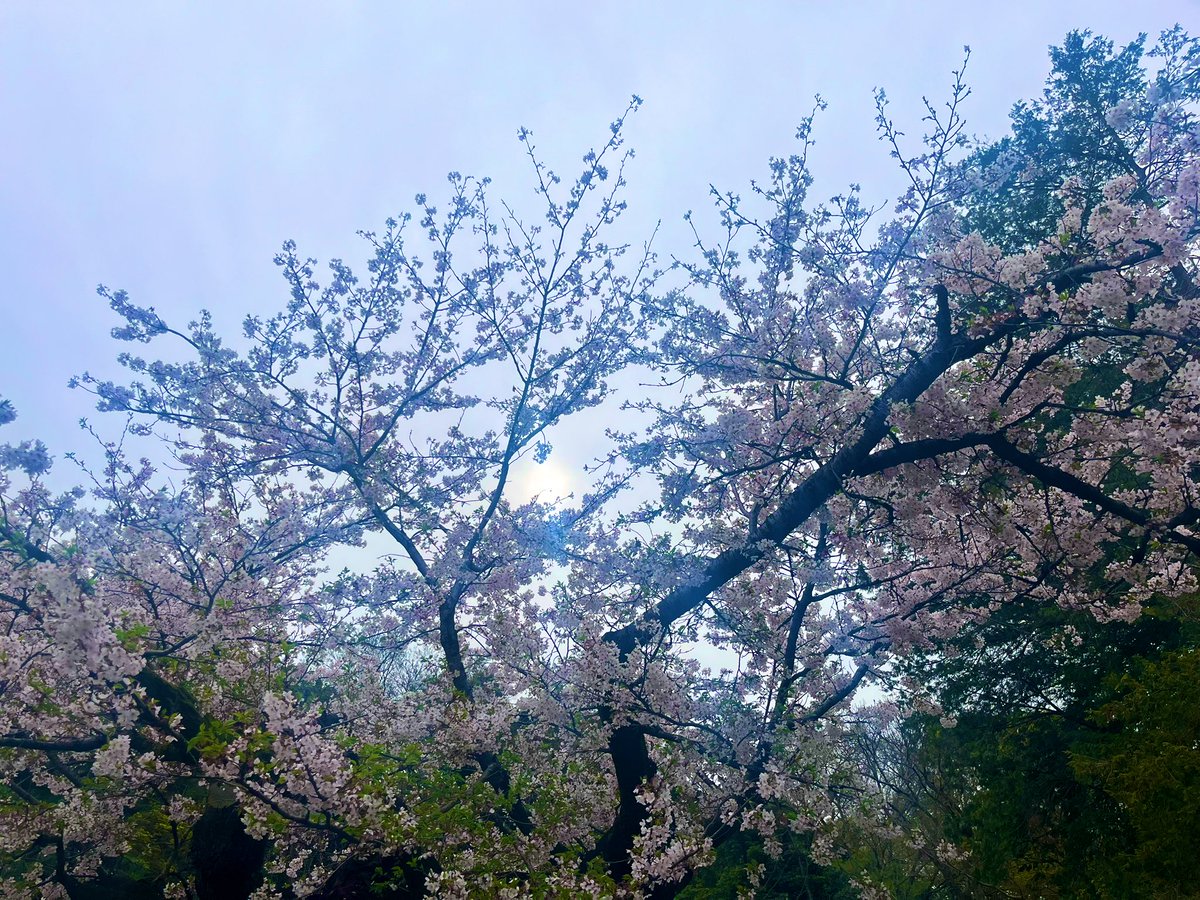 酒🍺酒ち🍷酒🍶ゅ酒🍸酒🍾ん酒🥃 tweet media