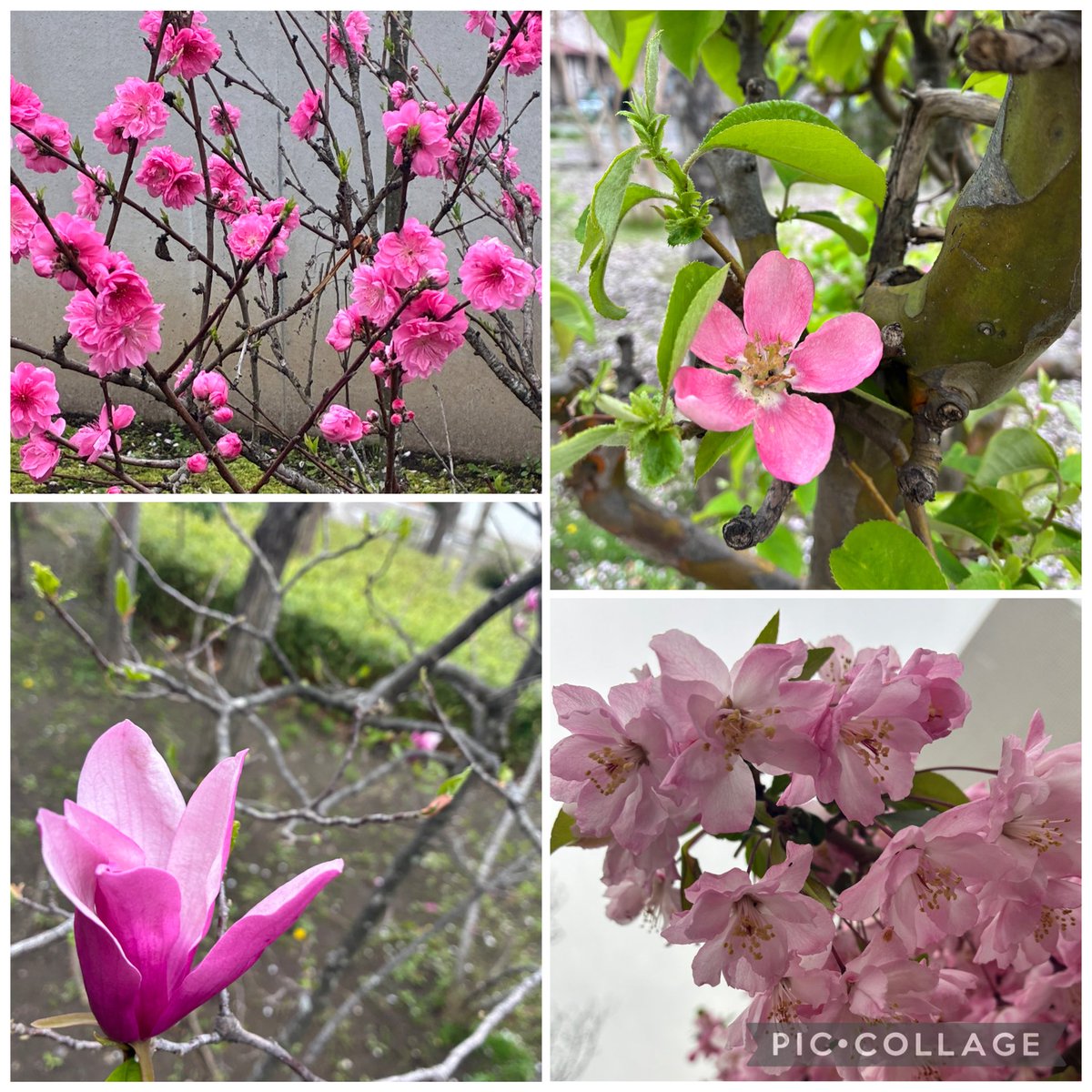 mie🌈💛🦫 tweet media