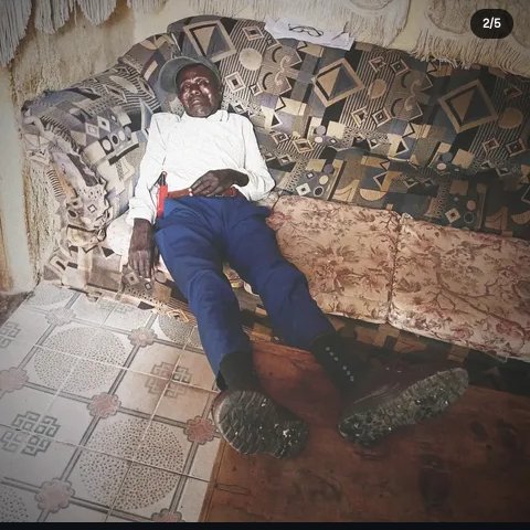 Levi$🧠 tweet media