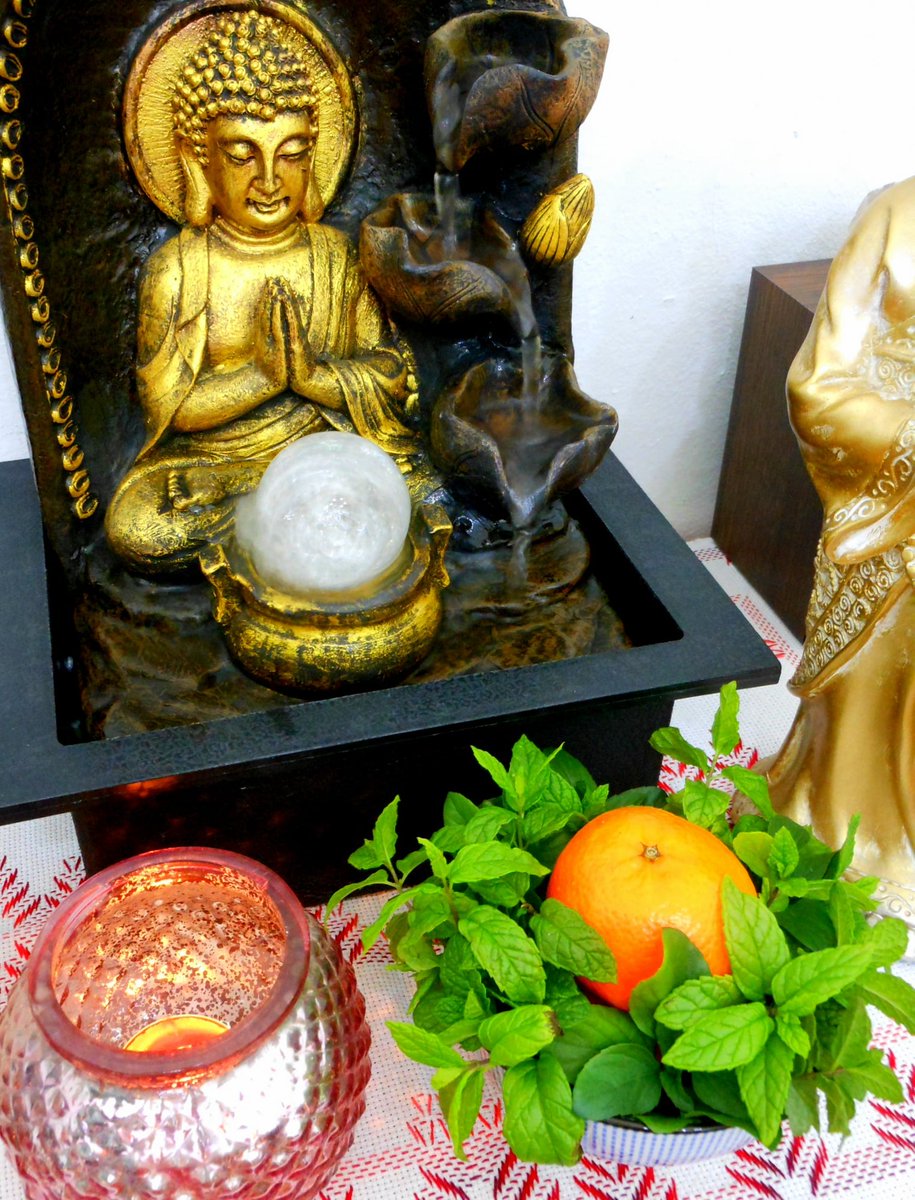 Carolina Gonzalez tweet media