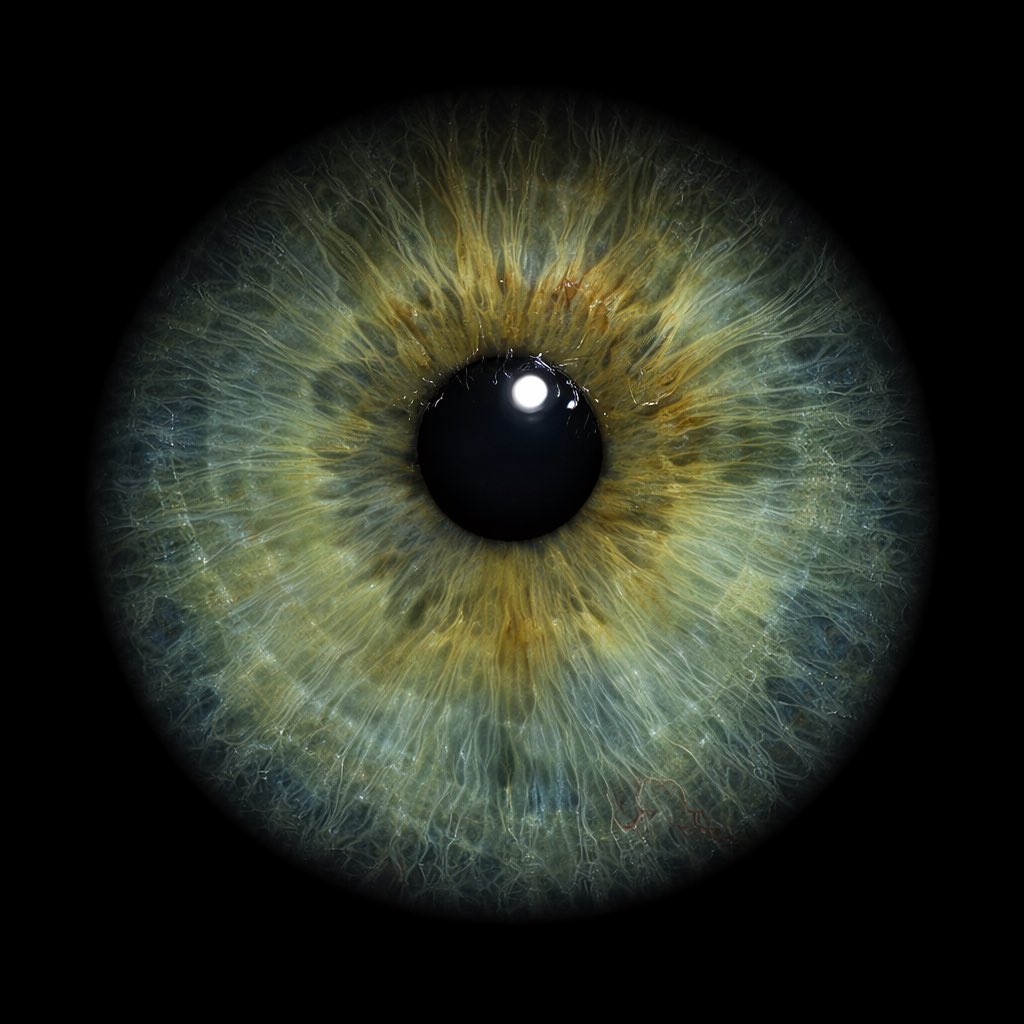 Göki ⁷ 🇹🇷 tweet media