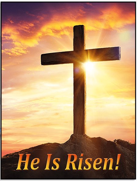 Princess of Wales Fan tweet media