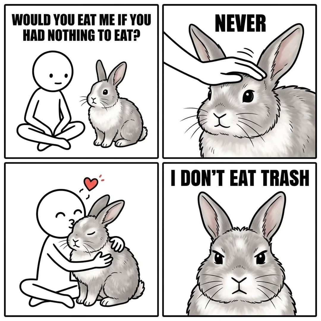 Rabbit Reddy 🐰 tweet media