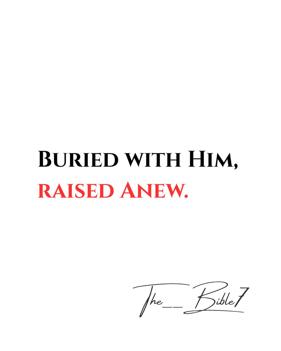 The Bible tweet media