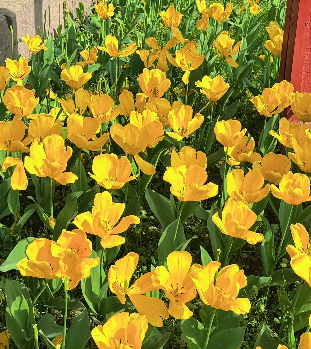 小钰_Hilda tweet media