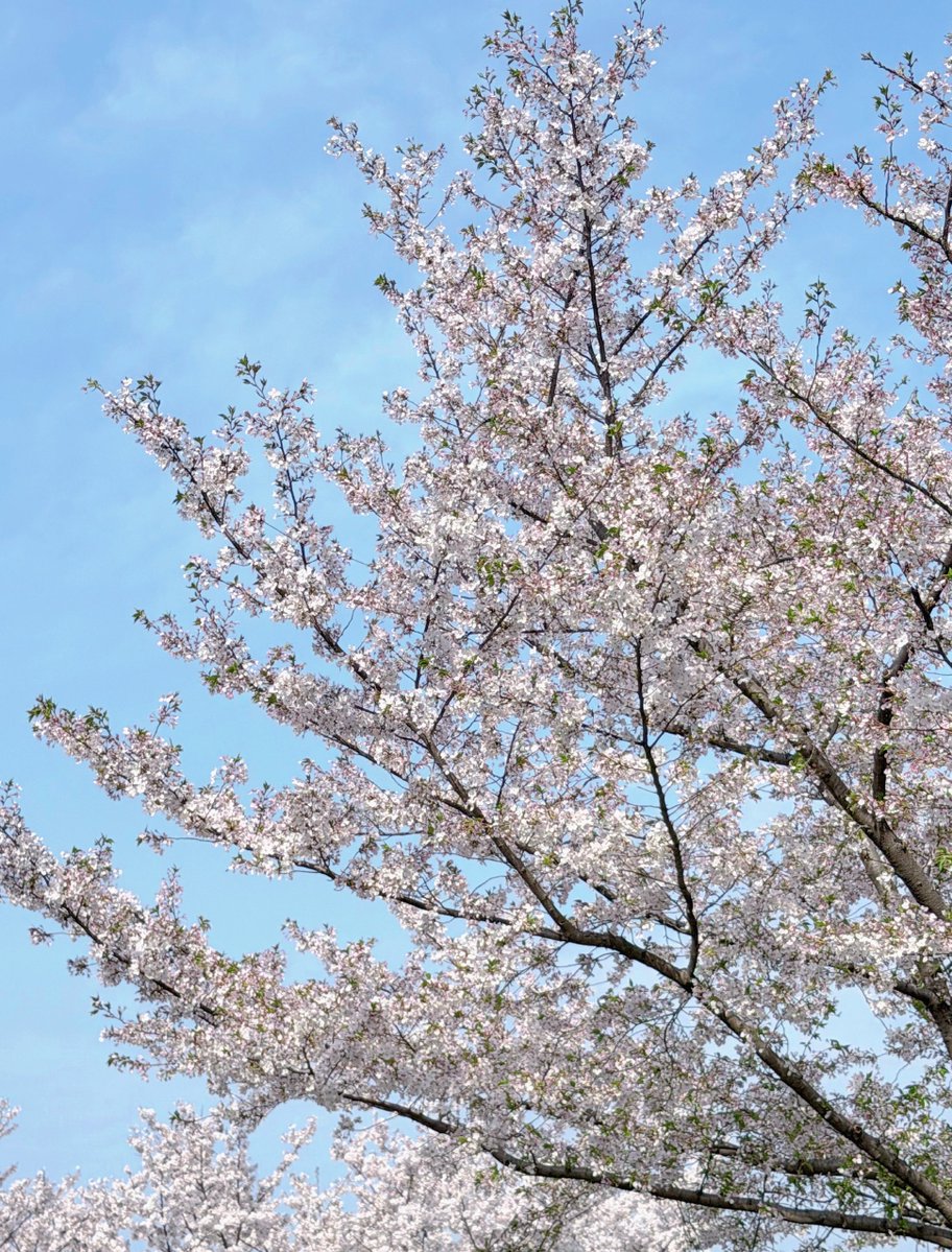 小钰_Hilda tweet media