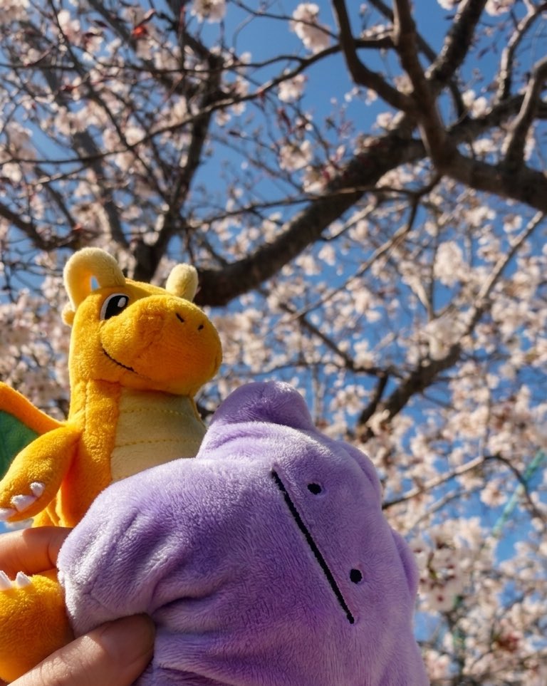 おひとり様の栗田さん tweet media