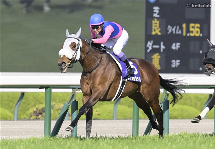 競馬ラボ tweet media