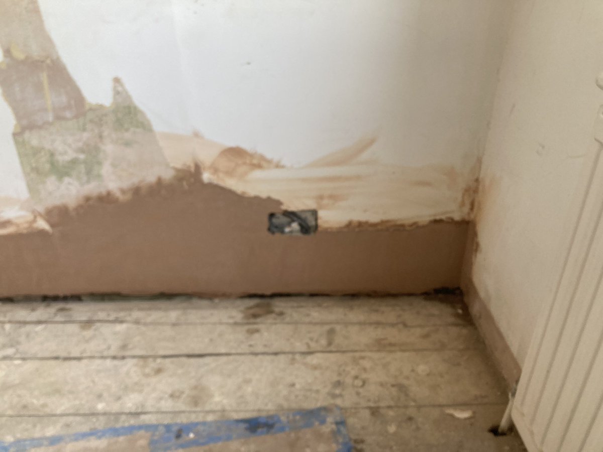 Pegasus Plasterers tweet media
