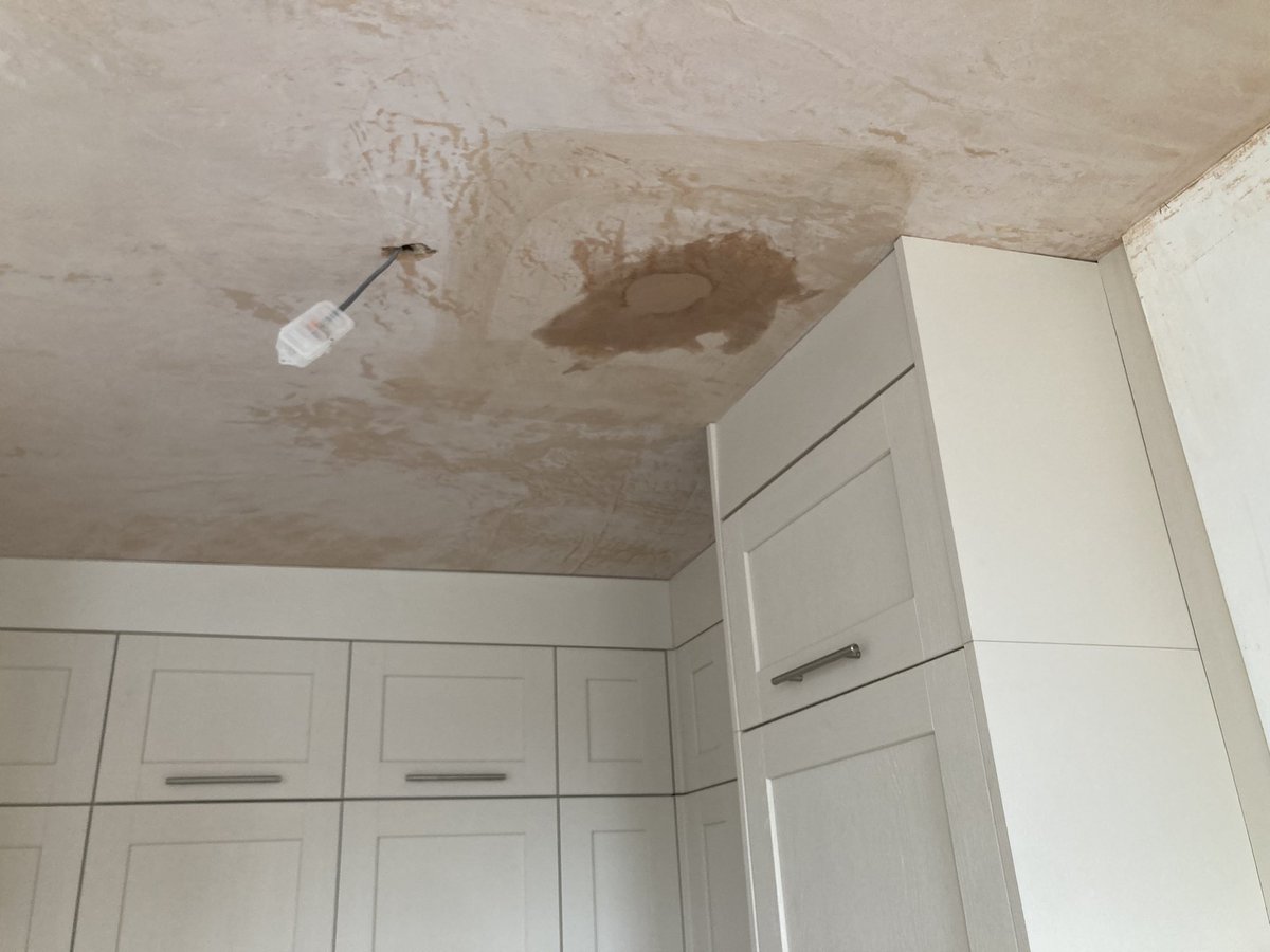 Pegasus Plasterers tweet media