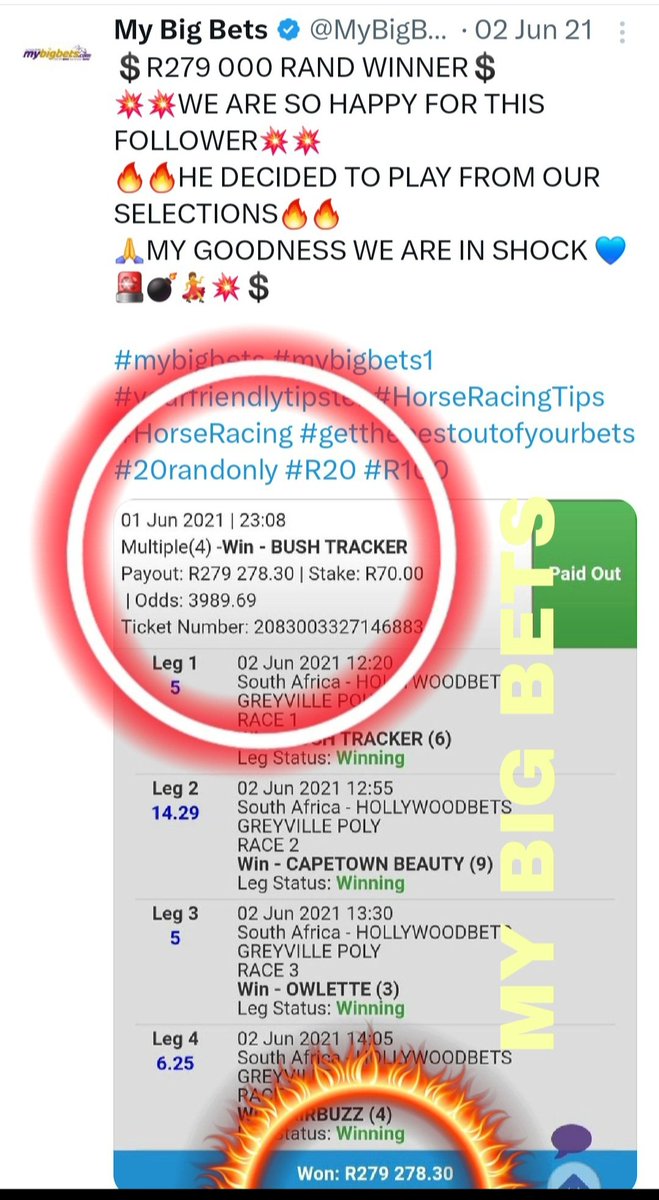 My Big Bets tweet media