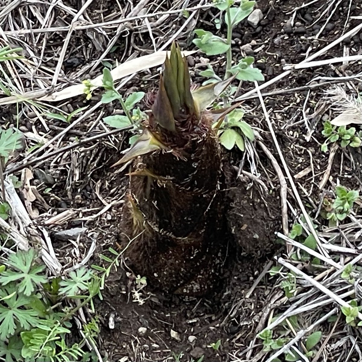 TEAM 🅳 ライダーズカフェ🅷🅸🅳🅴🅾🆄🆃 作ってる人 tweet media