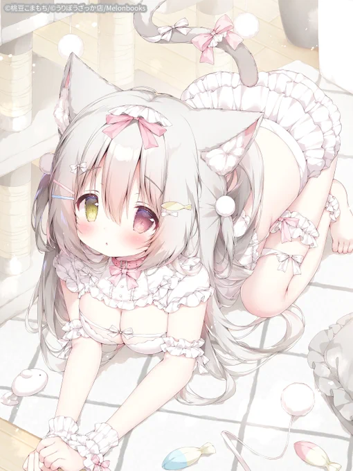 ご主人、遊んでにゃあ～
