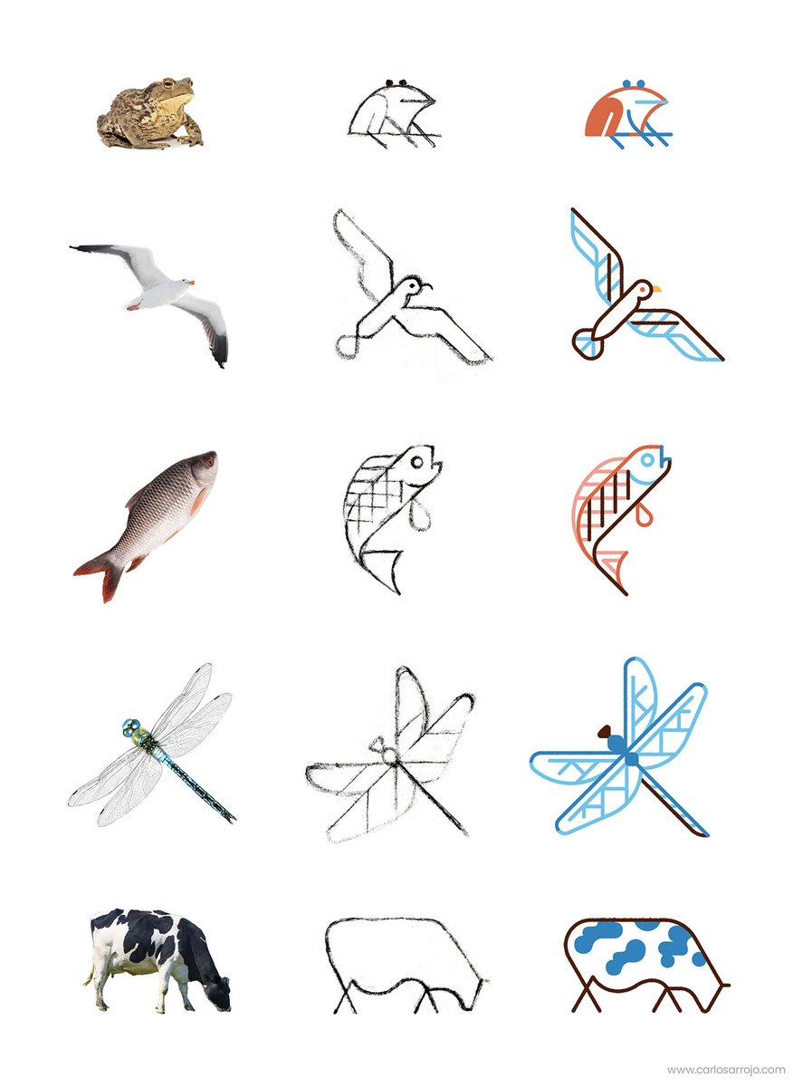 Carlos Arrojo tweet media